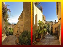 183 D25 BORMES LES MIMOSAS 3_000033